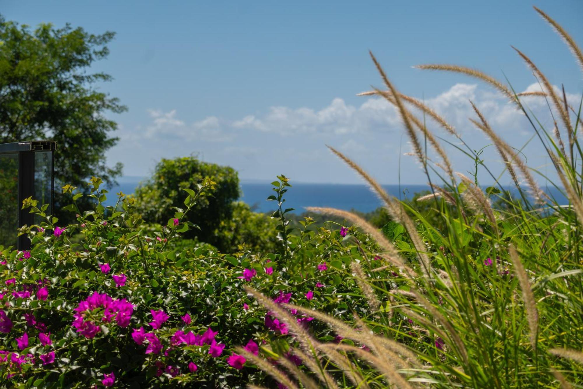Tropic & Chic Villa Sainte-Anne  Exterior foto